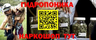 индика Бузулук
