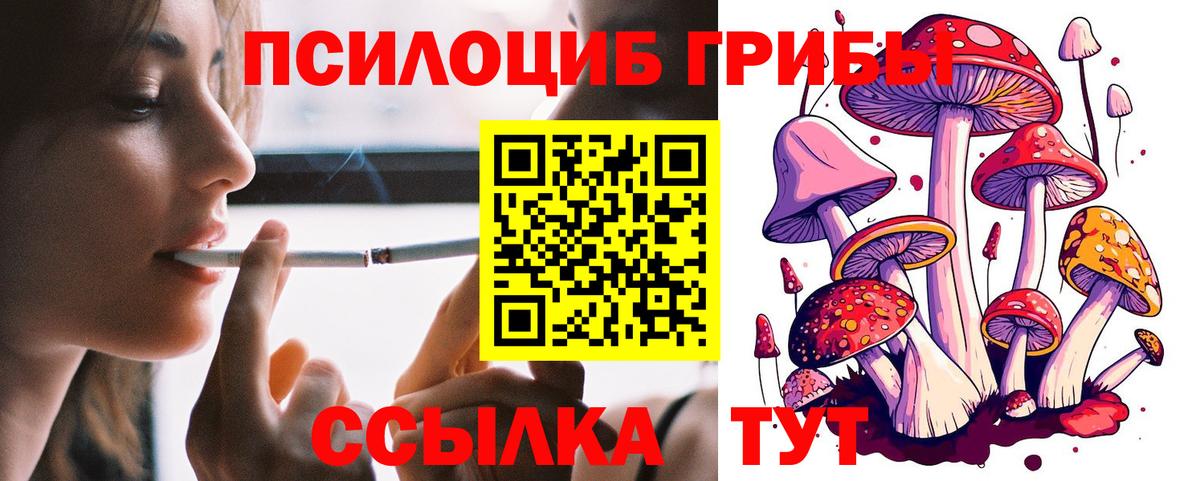 Галлюциногенные грибы мицелий  Вход с VPN  Галлюциногенные грибы Psilocybe  Сальск 