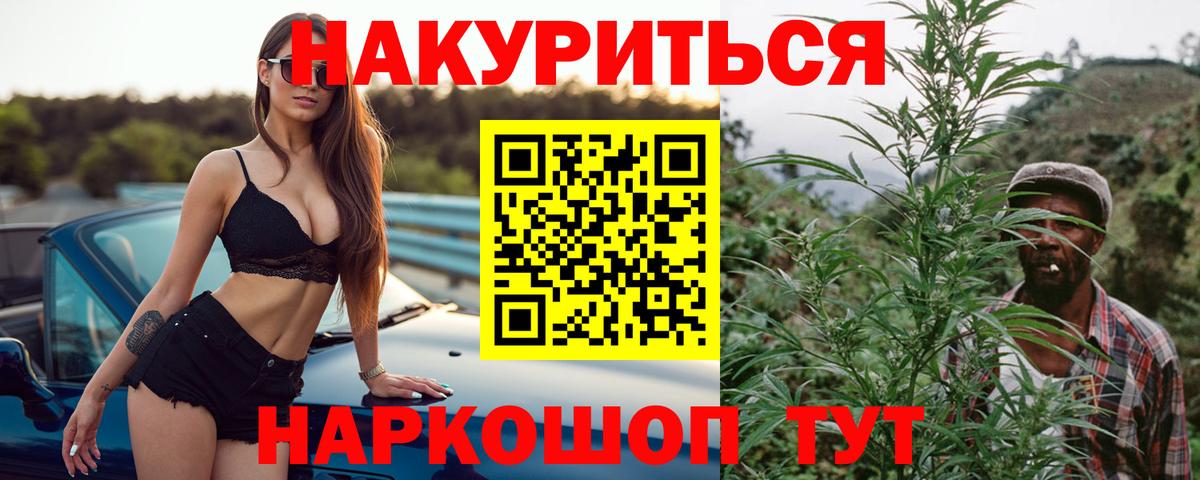 Конопля Ganja Сальск